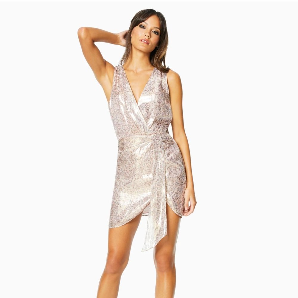 Ramy Brooks Gabriela Silk Metallic Dress Small
